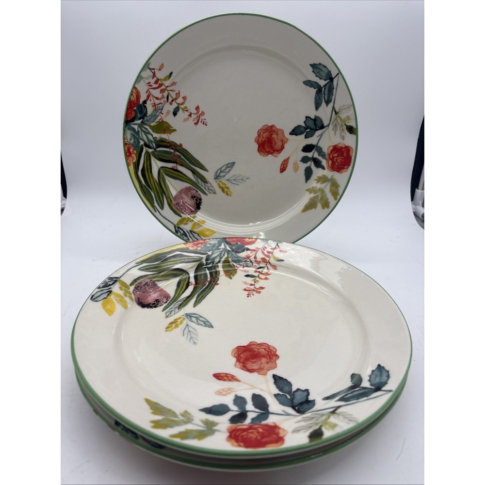 Set Of 3 MICHELLE MORIN for ANTHROPOLOGIE Climbing Roses dinner plates 10.5"